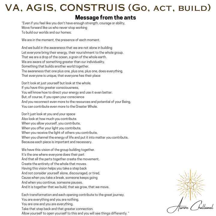 Go, act, build