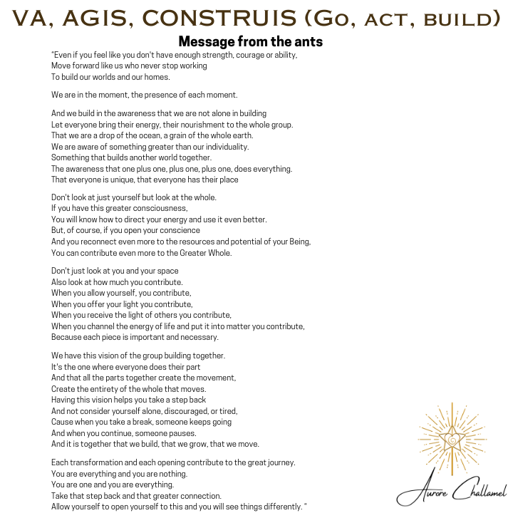 Va, agis, construis