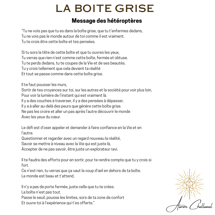 La boite grise